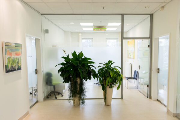 Zahnarzt_Gehl_Praxis_06 Eingangsbereich von Zahnarztpraxis mit Glastüren und Pflanzen